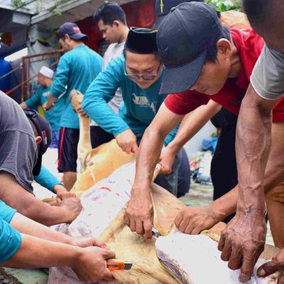 Tebarkan Kebaikan di Momen Istimewa, SMK Kesehatan Bhakti Insani Qurban 2 Ekor Sapi